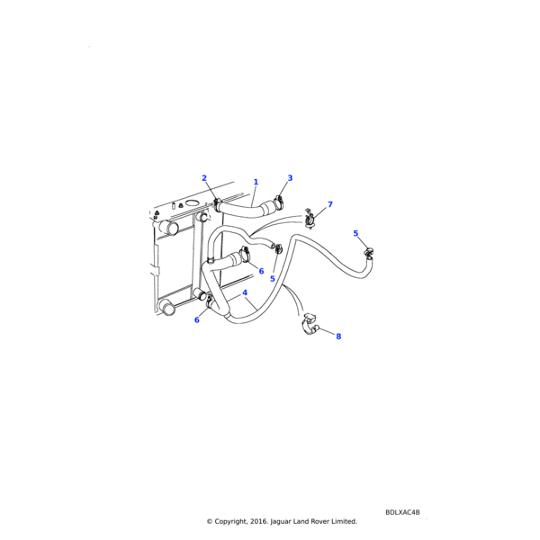 Land Rover Hose-radiator bottom coolant