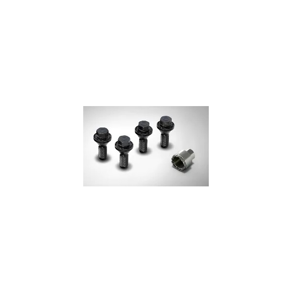 LR155113 - Land Rover LOCKING WHEEL BOLTS, SILVER FINISH
