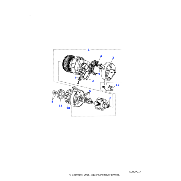 BAU2195L