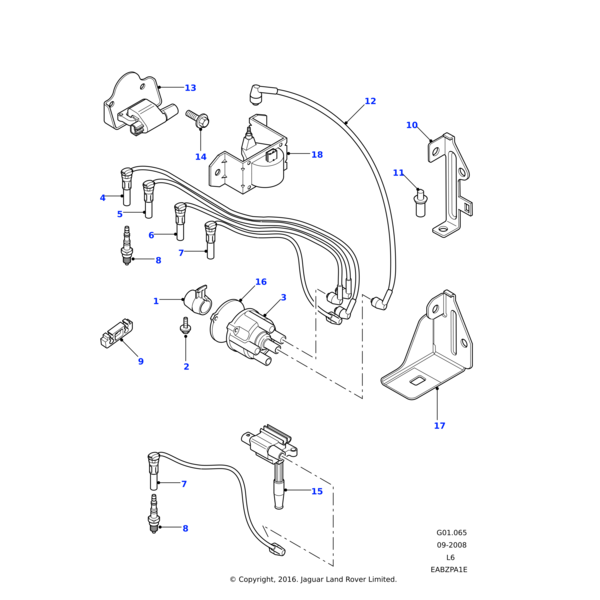 NLP100290L