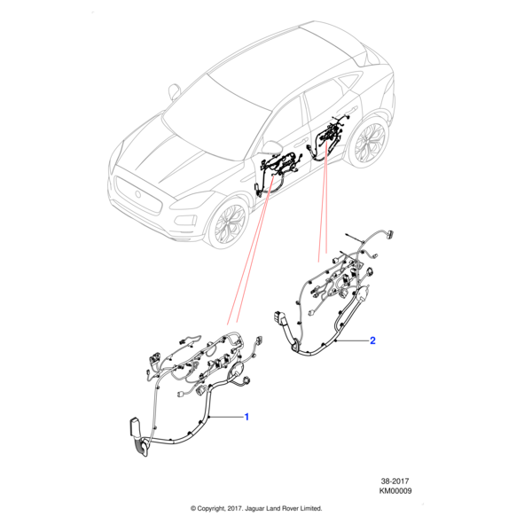 J9C21758 - Jaguar Passenger door harness
